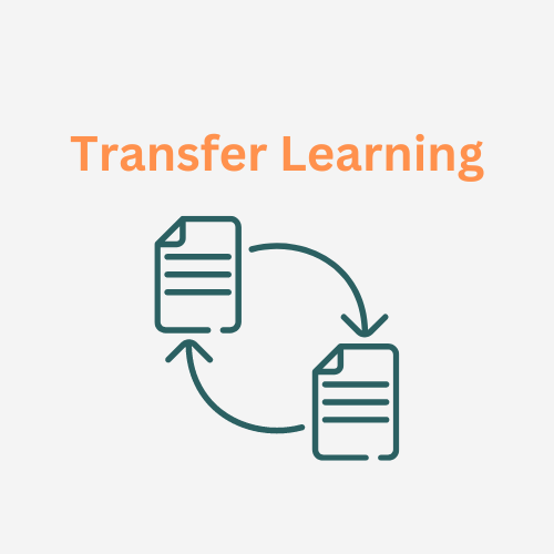 Effective Transfer Learning - A Guide to Feature Extraction and Fine-Tuning Techniques
